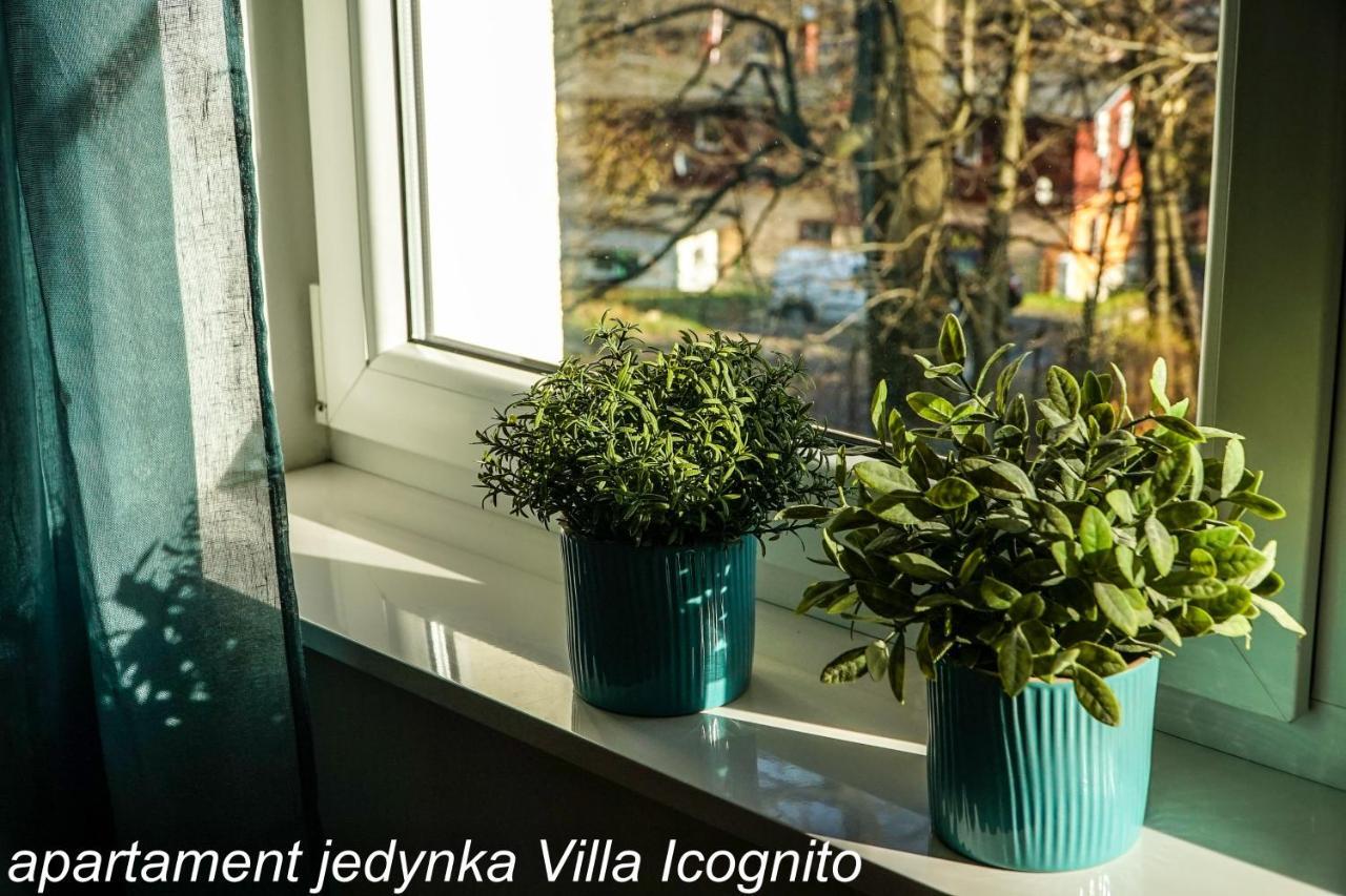 Apartament Jedynka Villa Incognito Szklarska Poreba Ngoại thất bức ảnh